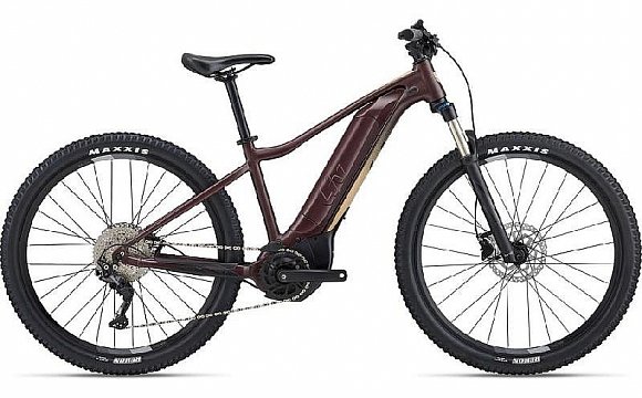 Giant Tempt E+1 /figuier/