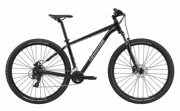 Cannondale Trail 8 / gry/