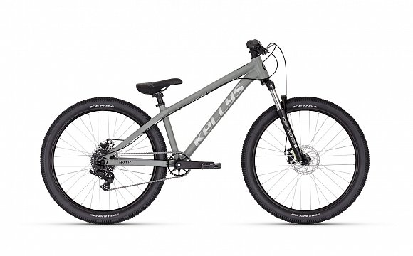 Kellys Whip 10 DX /moonstone grey/